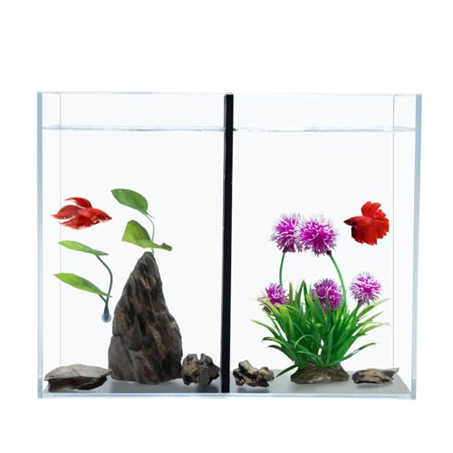 Betta-Fischbecken mit Trennwand, kleines Aquarium, passend für 2 Bettas, 2,5 Gallonen x 2 Zimmer. (Trennwand nicht abnehmbar) von Vimvins