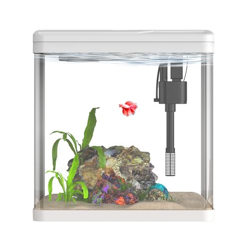 1,8 l Glasaquarium, kleines Aquarium mit Filter und Licht, selbstreinigendes Aquarium. von Vimvins