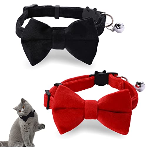 2 Stück Samt-Fliege Katzenhalsband mit Glöckchen, verstellbar, Katzenhalsbänder, Kätzchen, kleine Welpen, Sicherheitsfliege, solide Hochzeit, rotes Katzenhalsband für Jungen, Mädchen, Katzen von Vin Beauty