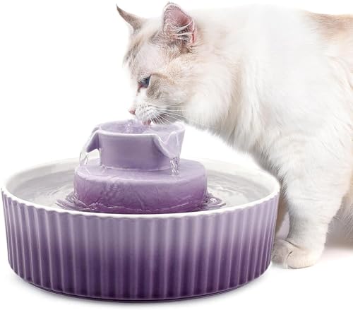 VinDox Keramik Katzenbrunnen 2,1L Trinkbrunnen für Katze und Hund, Katzenbrunnen Porzellan, Katzen Wasserspender mit Ersatzfilter und Schaumstoff Intelligente Pumpe (violett) von VinDox