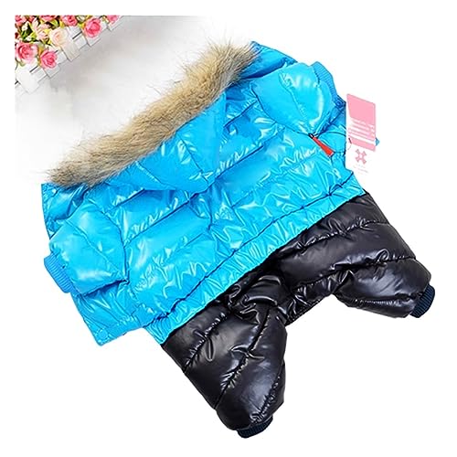 Hundekleidung Winter Haustier Hundekleidung Dicke, warme Jacke für kleine und große Hunde wasserdichter Welpenmantel Chihuahua Mops Französische Bulldogge Kleidung (Farbe: Blau, Größe: 10) von VinerY