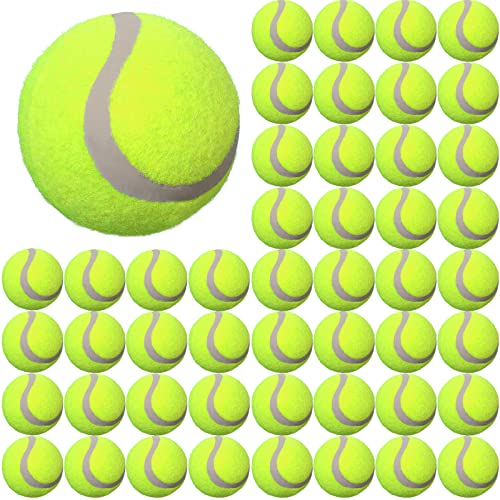 Tennisbälle aus Gummi und Filz für Hunde Aufblasbare Hunde Tennisbälle für Haustiere Training Übung und Übung (48 Stück) von Vinsot