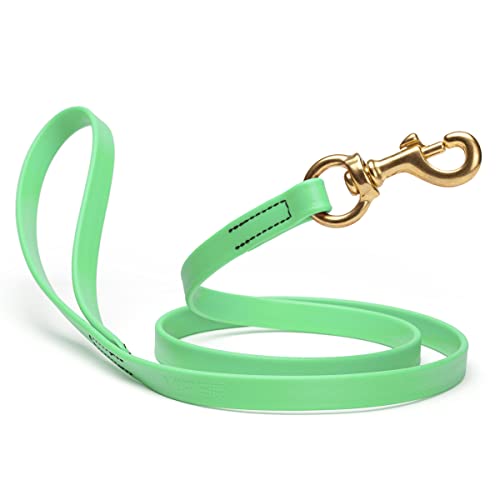 Viper Biothane K9 Arbeitshundeleine Wasserdichte Leine für Tracking Training Schutzhund Geruchsdichte lange Schnur mit massivem Messingverschluss für Welpen mittelgroße und große Hunde, 1,2 m, Sea Foam Green von Viper