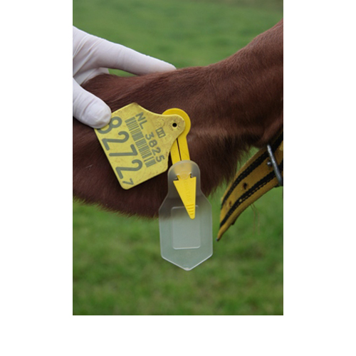 Auriplak - 1 Stück Auriplak - 1 Stück von Virbac