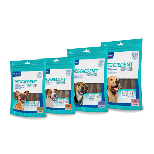 VeggieDent FR3SH - für Hunde von 5 bis 10 kg - 15 Streifen VeggieDent FR3SH - für Hunde von 5 bis 10 kg - 15 Streifen von Virbac
