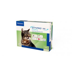 Virbac Effipro Duo Spot-on für Katzen bis 6 kg 2 x 4 Pipetten von Virbac