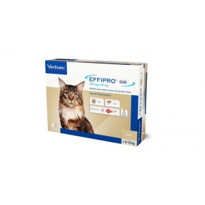 Virbac Effipro Duo Spot-on für Katzen von 6 bis 12 kg 2 x 4 Pipetten von Virbac