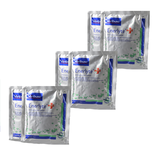 Virbac Enerlyte Plus Sachets - 6 Sachets von Virbac