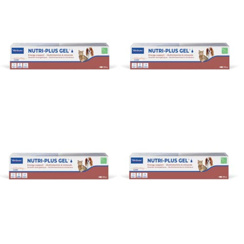 Virbac Nutri-Plus Gel | 4er Pack | 4 x 120 g Tube | Ergänzungsfuttermittel für Hunde und Katzen zur Rekonvaleszenz | Appetitanregender, hoch konzentrierter Energieträger von Virbac