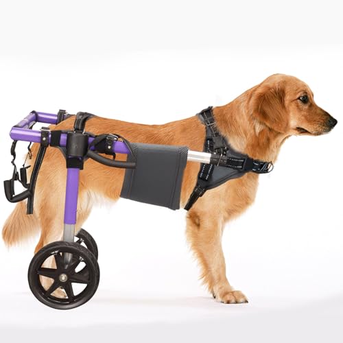 Virbraroo Hunderollstuhl für Hinterbeine, groß, ultraleicht, Aluminiumlegierung, verbesserte All-Terrain-Reifen, Hunderäder für Hinterbeine für 45 - 60 cm, 22 - 30 kg behinderte oder verletzte große von Virbraroo