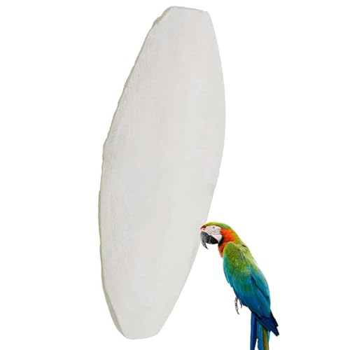 Virtcooy Vogel-Cuttlebone,Natürlicher Cuttlebone für Vögel,10 Stück Tintenfischknochen-Kauspielzeug - Natural Bird Bites Calcium Stone, Kalzium- und Spurenelement-Ergänzungsmittel für Nymphensittiche von Virtcooy