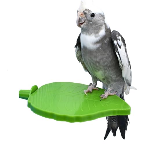 Papageien-Ständerspielzeug - Plattform für Sitzstangen in Blattform für Papageien | Papageien-Eckstange, Flache Plattform, Ständer, Zubehör, Übungsspielzeug für Finken, Igel Visiblurry von Visiblurry