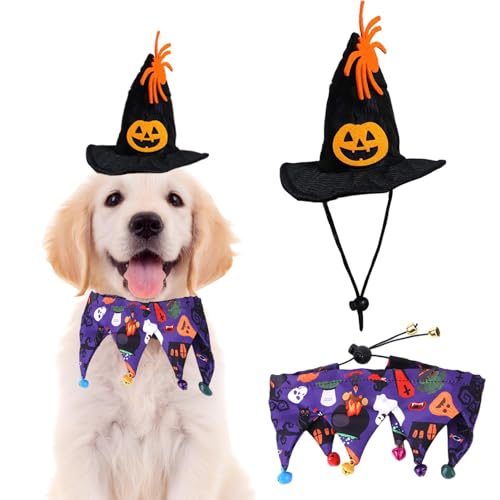 Visiblurry Hexenkostüm für Hunde | Hundeschal mit Glöckchen, Katzenmütze mit Kürbismuster und Spinnendekor | Verstellbares, bequemes Haustierkostü für Katzen und Hunde, Halloween-Partygeschenke von Visiblurry