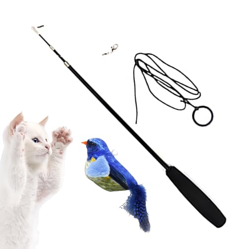 Visiblurry Katzenstab Teaser Schnurspielzeug - Vogel Design Zauberstab Federspielzeug | Wiederverwendbares, interaktives, quietschendes Katzen-Teaser-Entwicklungsspielzeug für Katzenwelpen von Visiblurry