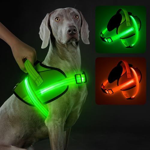 Light Up Hundegeschirr, No-Pull Led Hundegeschirr Wiederaufladbar, Reflektierend Leuchtgeschirr für Hunde, Einstellbar & Komfort Gepolstert für Sicherheit beim Nachtspaziergang (Grün, L) von Visinite