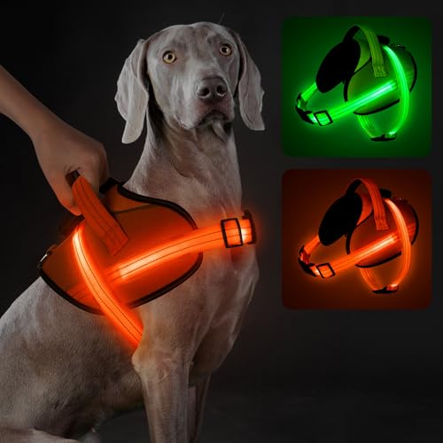 Light Up Hundegeschirr, No-Pull Led Hundegeschirr Wiederaufladbar, Reflektierend Leuchtgeschirr für Hunde, Einstellbar & Komfort Gepolstert für Sicherheit beim Nachtspaziergang (Orange, L) von Visinite