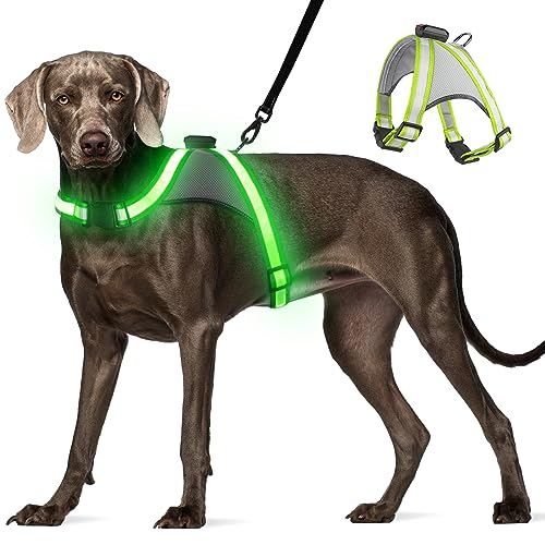 Visinite Led Hundegeschirr mit Licht, Hundegeschirr Leuchtend Aufladbar, 2 Beleuchtungsmodi Leuchtgeschirr füR Hunde, Einstellbares Beleuchtetes Hundegeschirr Licht FüR Sicherheit Beim Nachtgehen von Visinite