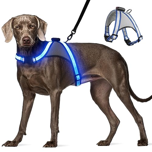 Visinite Led Hundegeschirr mit Licht, Hundegeschirr Leuchtend Aufladbar, 2 Beleuchtungsmodi Leuchtgeschirr füR Hunde, Einstellbares Beleuchtetes Hundegeschirr Licht FüR Sicherheit Beim Nachtgehen von Visinite