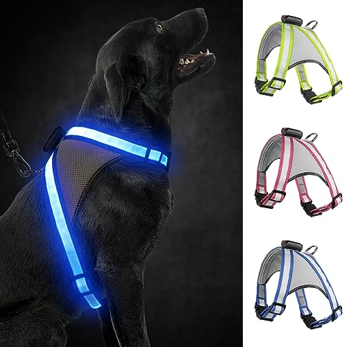 Visinite Led Hundegeschirr mit Licht, Hundegeschirr Leuchtend Aufladbar, 2 Beleuchtungsmodi Leuchtgeschirr füR Hunde, Einstellbares Beleuchtetes Hundegeschirr Licht FüR Sicherheit Beim Nachtgehen von Visinite