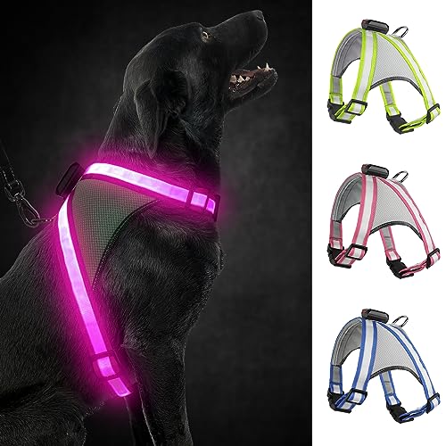 Visinite Led Hundegeschirr mit Licht, Hundegeschirr Leuchtend Aufladbar, 2 Beleuchtungsmodi Leuchtgeschirr füR Hunde, Einstellbares Beleuchtetes Hundegeschirr Licht FüR Sicherheit Beim Nachtgehen von Visinite