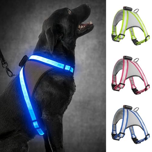 Visinite Led Hundegeschirr mit Licht, Hundegeschirr Leuchtend Aufladbar, 2 Beleuchtungsmodi Leuchtgeschirr füR Hunde, Einstellbares Beleuchtetes Hundegeschirr Licht FüR Sicherheit Beim Nachtgehen von Visinite