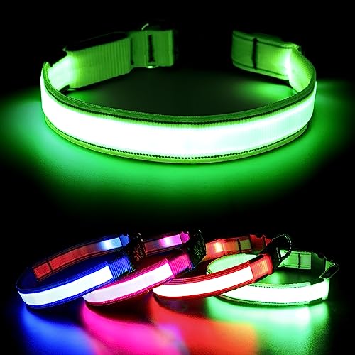 Visinite Leuchtendes Hundehalsband, LED-Hundehalsband, wiederaufladbar, wasserdicht, reflektierendes Hundehalsband, vollständig verstellbar, blinkend, für mittelgroße und große Hunde, Grün, L von Visinite