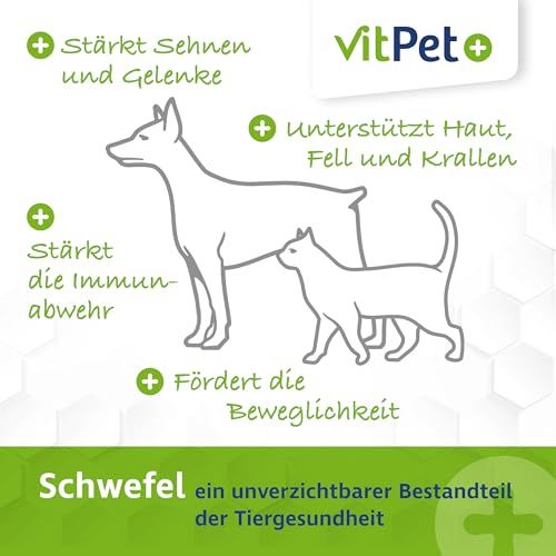 VitPet+ MSM Hund – Premium MSM Pulver für Hunde und Katzen – 300 g Dose inkl. Dosierlöffel (Methylsulfonylmethan- / Schwefel-Pulver für Katzen und Hunde) von VitPet+