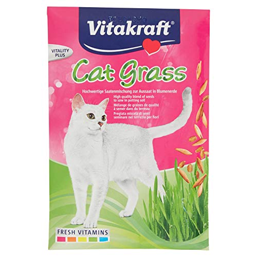 Vitakraft Cat -Gras zur Aussaat in Blumenerde 50g von Vitakraft