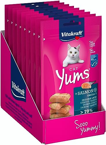 Vitakraft Cat Yums, Katzensnack, mit Lachs, extra fleischig, mit sichtbarer Füllung, unterstützen Haut und Fell, in Vorratsgröße, im wiederverschließbaren Beutel (9x 40g) von Vitakraft