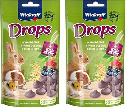 Vitakraft Drops, Leckerlies für Nager, mit Waldbeere, Nagerfutter, zum Verwöhnen, ohne Zusatz von Zucker (1x 75g) (Packung mit 2) von Vitakraft