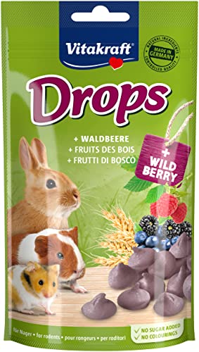 Vitakraft Drops, Leckerlies für Nager, mit Waldbeere, Nagerfutter, zum Verwöhnen, ohne Zusatz von Zucker (1x 75g) von Vitakraft