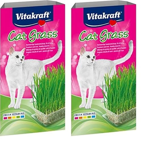 Vitakraft Katzen Gras Set, Cat Grass, 1x 120g (Packung mit 2) von Vitakraft