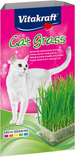 Vitakraft Katzen Gras Set, Cat Grass, 1x 120g von Vitakraft