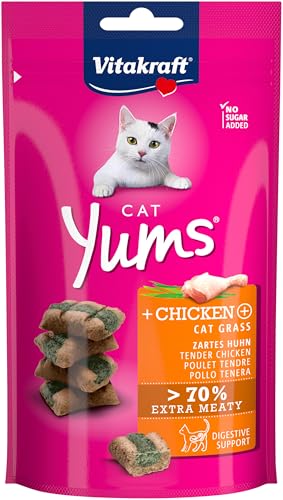 Vitakraft Cat Yums, Katzensnack, mit Huhn und Katzengras, mit sichtbarer Füllung, im wiederverschließbaren Beutel, ohne Zusatz von Zucker und Getreide (1x 40g) von Vitakraft