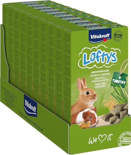 Vitakraft Loftys, Knusperkissen für Nager, Nager Snack, mit Hafer und Timothy Heu, ohne Zusatz von Zucker (10x 100g) von Vitakraft