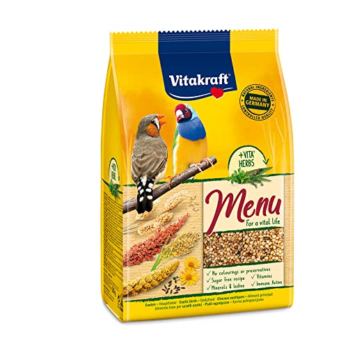 Vitakraft Premium-Menü für exotische Vögel mit Samen und sonnengereiftem Getreide, 500 g von Vitakraft