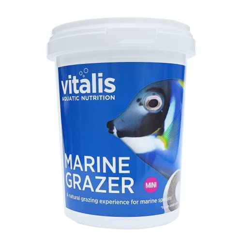 Vitalis Marine Mini Grazer Fischfutter Aquarium (240g) Fischfutter Aquarium Grazer für Marine Fischarten - hochverdaulich und ausgewogen - Vitamine und Mineralien von Vitalis Aquatic Nutrition