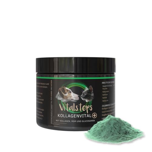 Vitalsteps KollagenVital+ 500g | Kollagen MSM Glucosamin Chlorella Chondroitin Hagebutte Brennnessel Curcuma - Hund u. Katze von Vitalsteps