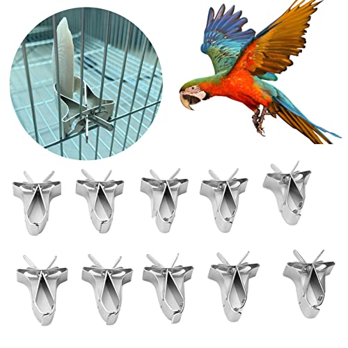 10 Stück Vogelfutter-Halter, Papageien-Obst-Gemüse-Clips, Edelstahl, Papageien-Obst-Gemüse-Futterhalter-Clips für Papageien, Lerchen, Hamster, Kaninchen von Vitdipy