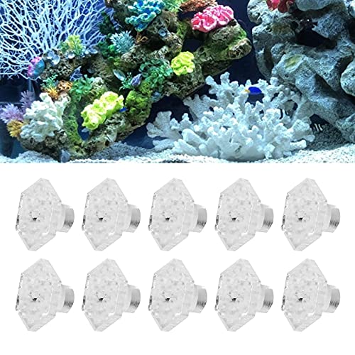 Vitdipy 10 Stück Coral Frag Rack, Hex Halter Acryl Kompakt Stilvolle Transparente Basis Stand Zubehör für Aquarium Fish Tank von Vitdipy