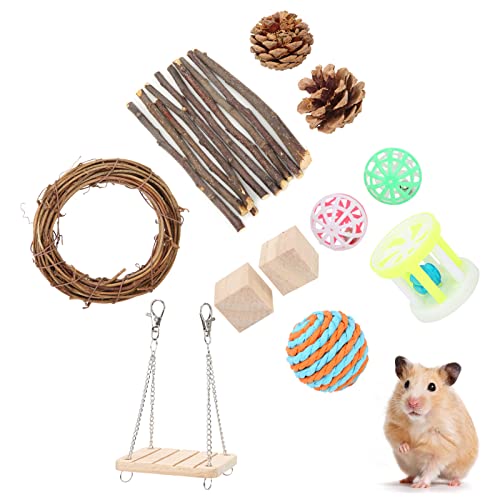 Vitdipy 11 Pack Hamsterspielzeug Set, angeborene hölzerne Angst Entlastung Zähne Pflege Molar Spielzeug für Hamster Meerschweinchen Hasen und andere kleine Tiere von Vitdipy