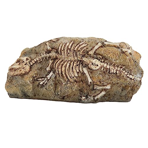 Vitdipy Dinosaurier-Aquarium-Dekorationen, Coole und wertvolle Aquarium-Dinosaurier-Fossilien-Dekoration zum Verstecken von Reptilienschildkröten von Vitdipy