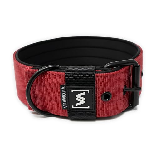 VITOMALIA® 3cm Breites Hundehalsband mit abstehender Neopren-Innenfütterung für kleine Hunde, Schwarze Edelstahl-Dornschnalle, Hundehalsband kleine Hunde (3cm/M = 40cm-50cm, Bordeaux) von Vitomalia