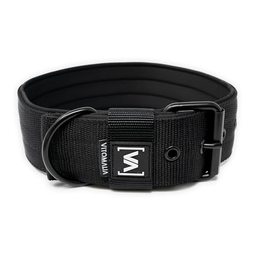 VITOMALIA® 3cm Breites Hundehalsband mit abstehender Neopren-Innenfütterung für kleine Hunde, Schwarze Edelstahl-Dornschnalle, Hundehalsband kleine Hunde (3cm/S = 35cm-45cm, Schwarz) von Vitomalia