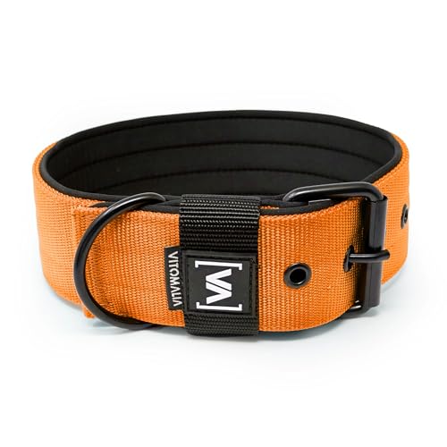 VITOMALIA® 5cm Breites Hundehalsband mit abstehender Neopren-Innenfütterung für Hunde, Schwarze Edelstahl-Dornschnalle, Hundehalsband große Hunde (5cm/XL = 50cm-60cm, Orange) von Vitomalia