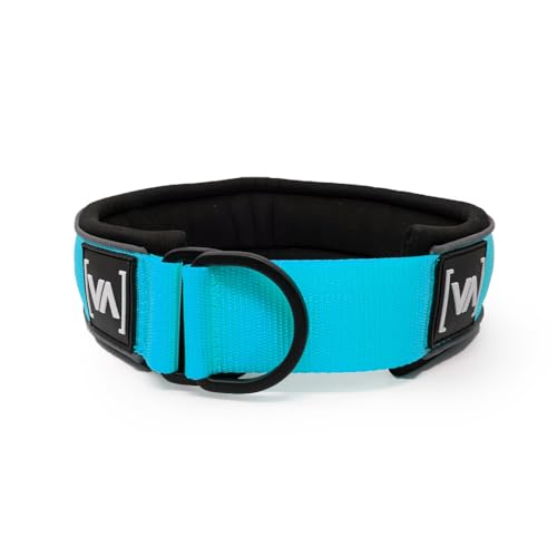 VITOMALIA® Ultraleichtes 5cm breites reflektierendes Zugstopp Hundehalsband, Robustem Nylon und Weichem Neopren, Halsband für große Hunde, zugstopp Halsband (5cm/L = 45cm-56cm, Türkis) von Vitomalia