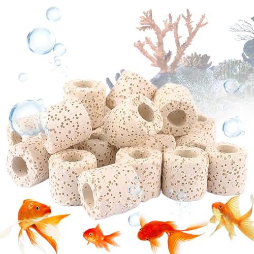 Aquariumpflanzengewichte - -Topf -Basis, Wurzelhalterungen | Wasserpflanzen -Sinker Klemmringe, Unterwasserstärke Für Fischtankanbau, Schildkrötenbepflanzungsdekor Und Aquariumpflanzengewichte - -Topf -Basis, Wurzelhalterungen | Wasserpflanzen -Sinker Klemmringe, Unterwasserstärke Für Fischtankanbau, Schildkrötenbepflanzungsdekor Und von Vitsrisea