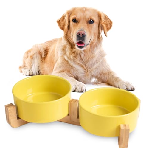 Hundenapf Keramik, 2 Stück Futterschüssel Wassernapf Napf mit Bambus Ständer für mittelgroße und große Hunde Futter- und Wassernapf (Gelb,14.6 * 6cm/600ml) von Viusneun