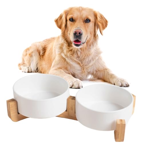 Hundenapf Keramik, 2 Stück Futterschüssel Wassernapf Napf mit Bambus Ständer für mittelgroße und große Hunde Futter- und Wassernapf (Weiß,12 * 5cm/300ml) von Viusneun