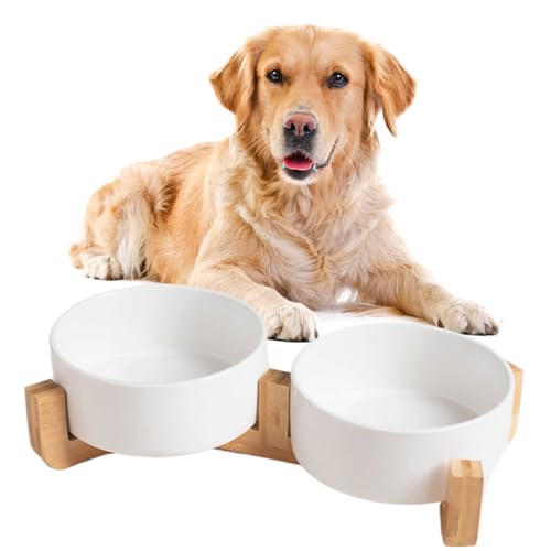 Hundenapf Keramik, 2 Stück Futterschüssel Wassernapf Napf mit Bambus Ständer für mittelgroße und große Hunde Futter- und Wassernapf (Weiß,17 * 7cm/1000m) von Viusneun